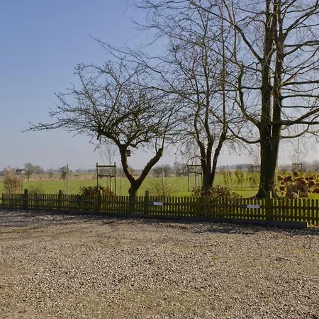 Inselblume 35 - Moderne In Neue Tiefe