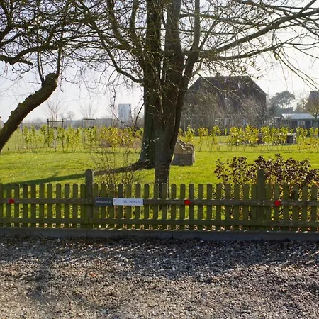 Inselblume 35 - Moderne In Neue Tiefe